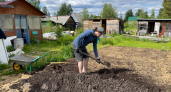 Никакого навоза, никакой химии: копеечное средство из кухонного шкафа даже самую усталую почву сделает мягкой, как пух