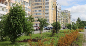 В Коми высадили 1400 кустарников и 20 деревьев
