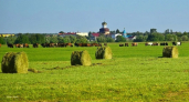 Девять районов Коми отмечают дни рождения