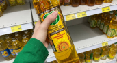 Как отличить хорошее подсолнечное масло от плохого за 5 минут: три простых метода проверки в домашних условиях