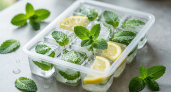 Засушивать мяту на зиму больше не нужно: найден способ сохранить вкус и аромат