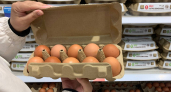 Как в магазине отличить свежие яйца от несвежих: 3 надежных метода