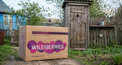 Деревянные туалеты уходят в прошлое: дачники нашли альтернативу на Wildberries за 6 000 рублей — без ямы и стройки