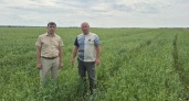 Минсельхоз Коми направит аграриям 696 миллионов рублей