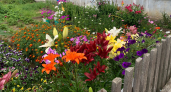 Август — отличное время для посева цветов: какие многолетники и двулетники успеют укорениться до зимы