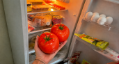 Помидоры в холодильник больше не кладу — там они теряют вкус и аромат: правильное место оказалось совсем другим