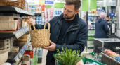 Скупил в Fix Price плетёные корзины из водорослей за 299 рублей: копеечная вещь превратилась в трендовый декор для дома и дачи