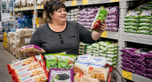 5 продуктов из «Светофора», за которыми возвращаюсь постоянно: стоят копейки, а дома исчезают первыми