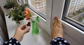 2 капли на ватный диск — и протираю белую оконную раму: старый пластик светлеет на глазах — дорогой отбеливатель отдыхает