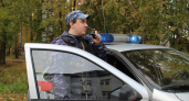 В Коми задержали подозреваемого в краже украшений на 300 тысяч рублей у бывшей жены 