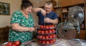 Решётку от старого вентилятора не выбрасываю: один поворот — и на даче появляется полезная вещь, которую соседи принимают за покупную