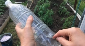 Беру пластиковую бутылку и делаю отверстия: получается полезное приспособление для дачи