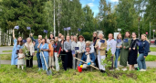В Коми появилась театральная аллея