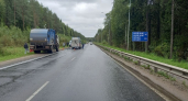В Коми водитель грузовика насмерть сбил велосипедиста