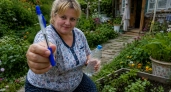 Беру старые ручки и вставляю в пластиковую бутылку: получается хитрое приспособление для дачи