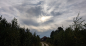 В Коми 8 сентября потеплеет до +19 °C