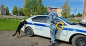 В Коми полицейские провели профориентационную встречу для школьников