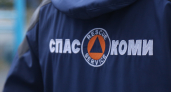 Решил покрасить стены и потерял сознание: в Коми мужчину достали из картофельной ямы