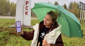 Заместитель председателя правительства Коми проголосовала на выборах в Госдуму дистанционно