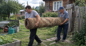 Пластиковые ящики и старые ковры не выбрасываю: собираю из дачного хлама садовую дорожку — прочная и почти даром