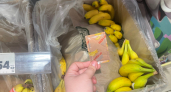 Продавцы из «Пятёрочки» и «Магнита» вытаскивают эти пакетики из банановых коробок: дома они оказываются на вес золота