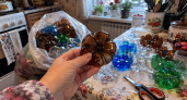 Донышки от пластиковых бутылок коплю как золото: 7 применений — и то, что летело в мусор, теперь пашет по всему дому