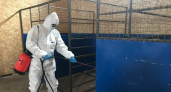 В Коми ликвидировали все очаги заразных болезней животных