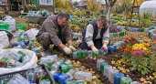 Пластиковые бутылки после Нового года 2027 коплю мешками: режу «кирпичиками» и собираю бордюры для клумб как LEGO — красота за копейки