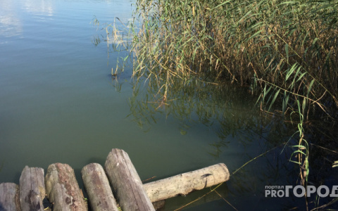 Утонувшую 10-летнюю ухтинку водолазы ищут по всей акватории реки