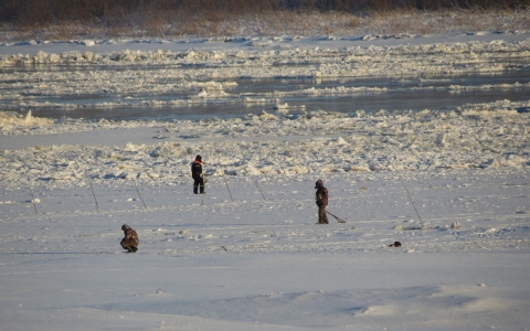 Печорские рыбаки вышли на лед ловить рыбу