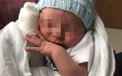 Новости мира: два бультерьера загрызли новорожденного ребенка своих хозяев