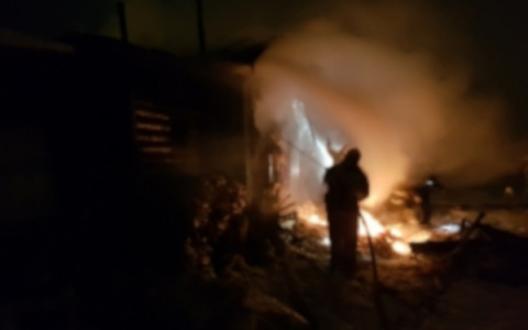 В Коми в пожаре сгорели мужчина и женщина