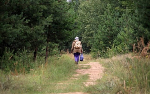 Спасатели Коми нашли в лесу бабушку по размеру ее обуви