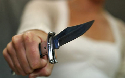 Пьяная сосногорка, угрожая ножом, не хотела отдавать полицейским ребенка