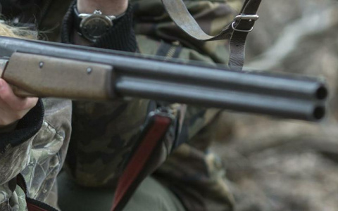 В Коми более 50 охотников вышли в патруль, чтобы защитить поселок от волков