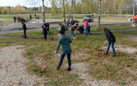 Сосногорцы вышли на Всероссийский экологический субботник (фото)