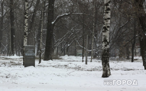 Падает, падает снег: какой будет погода в Ухте сегодня