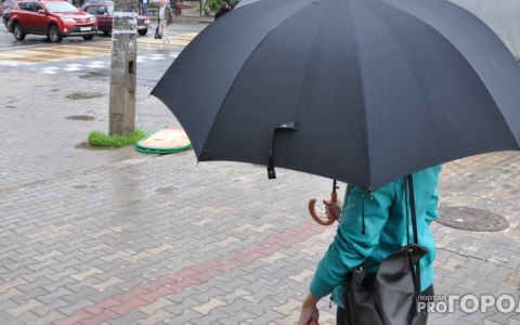 Сильный ветер и дожди придут в Коми вместе с западными циклонами