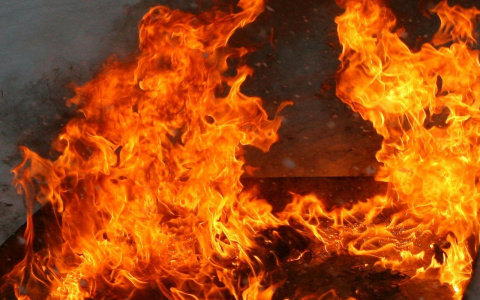 При пожаре в ангаре под Ухтой погиб 20-летний парень