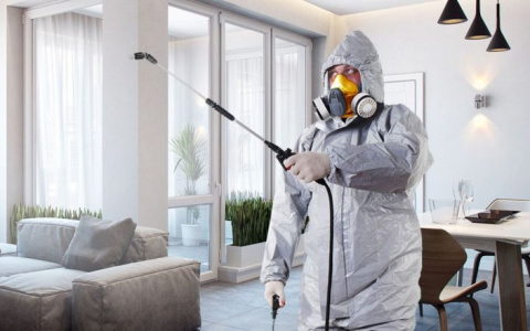 Как обезопасить квартиру от опасных вирусов?