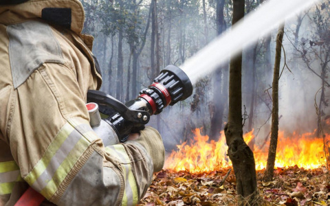 В Коми приняли меры против лесных пожаров