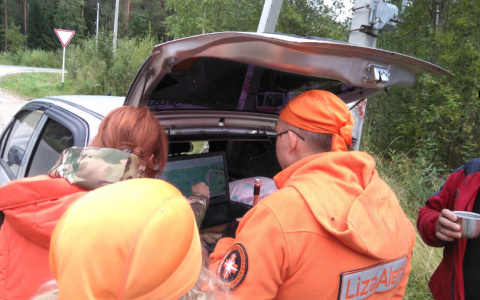 Волонтеры в Коми помогли найти живыми 23 человека