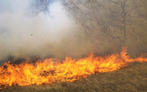 В двух населенных пунктах Коми горела сухая трава