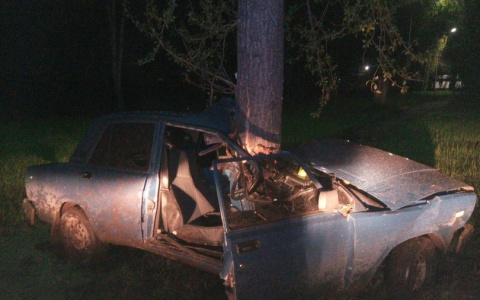 В Коми водитель без прав въехал в дерево и попал в больницу