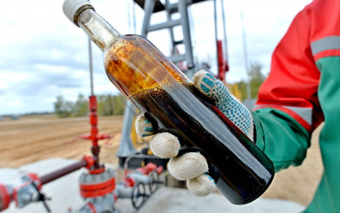 Землетрясение под Сосногорском произошло в результате добычи нефти