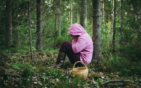 В Коми девушка ушла в лес без телефона и компаса