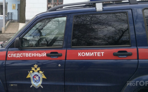 Хинштейн попросит следователей проверить информацию о ДТП с "воркутинским Ефремовым"