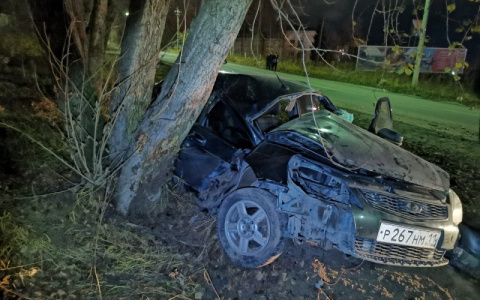 В Сосногорске  водитель не справился с управлением и врезался в дерево