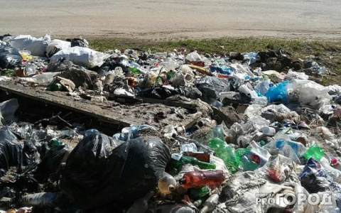 «Кто уберет мусор?»: в Коми ищут подрядчика на ликвидацию свалки