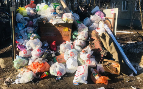 В Коми планируют построить термоустановки для утилизации мусора